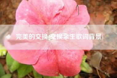 完美的交换(交换余生歌词背景)