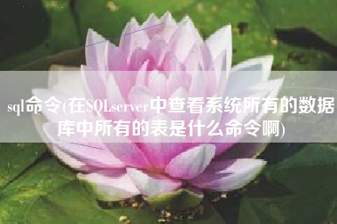 sql命令(在SQLserver中查看系统所有的数据库中所有的表是什么命令啊)