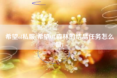 希望ol私服(希望OL森林的结晶任务怎么做)