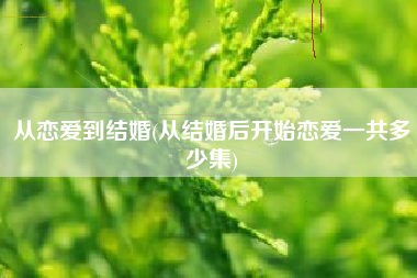 从恋爱到结婚(从结婚后开始恋爱一共多少集)