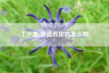 丁小美(顺德双皮奶怎么做)