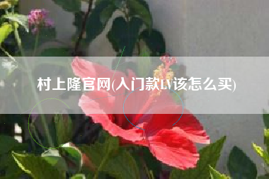 村上隆官网(入门款LV该怎么买)