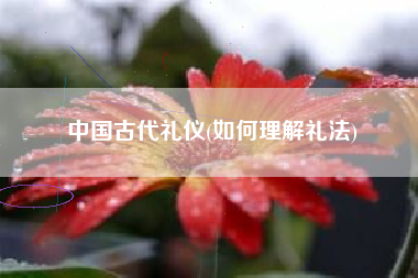 中国古代礼仪(如何理解礼法)