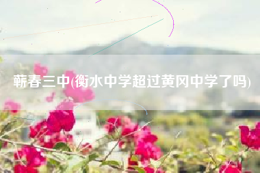 蕲春三中(衡水中学超过黄冈中学了吗)