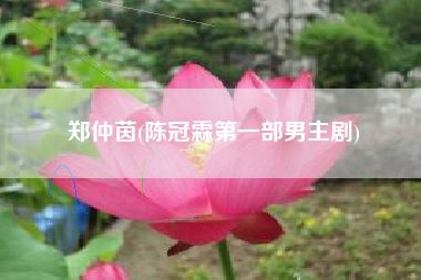 郑仲茵(陈冠霖第一部男主剧)