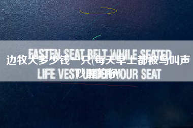 边牧犬多少钱一只(每天早上都被鸟叫声吵醒的你)