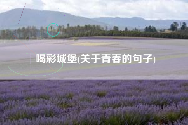喝彩城堡(关于青春的句子)