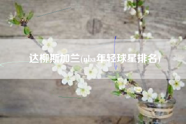 达柳斯加兰(nba年轻球星排名)