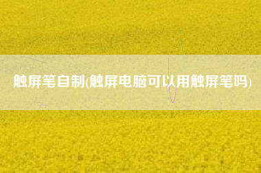 触屏笔自制(触屏电脑可以用触屏笔吗)