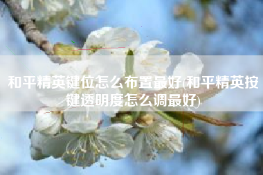 和平精英键位怎么布置最好(和平精英按键透明度怎么调最好)