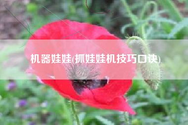 机器娃娃(抓娃娃机技巧口诀)