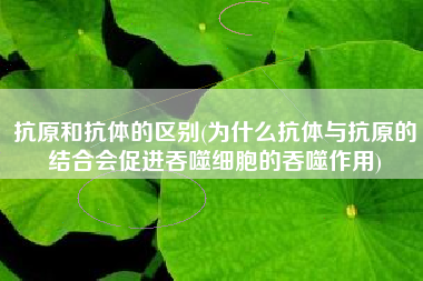 抗原和抗体的区别(为什么抗体与抗原的结合会促进吞噬细胞的吞噬作用)