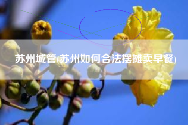 苏州城管(苏州如何合法摆摊卖早餐)