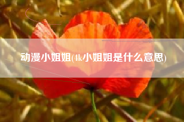 动漫小姐姐(4k小姐姐是什么意思)