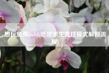 想玩免费pubg(绝地求生竞技模式解锁流程)