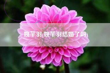 姚芊羽(姚芊羽结婚了吗)