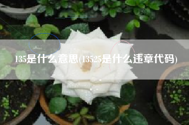 135是什么意思(13525是什么违章代码)