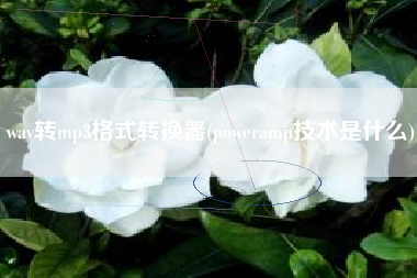 wav转mp3格式转换器(poweramp技术是什么)
