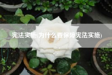 宪法实施(为什么要保障宪法实施)