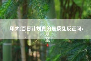 印太(百日计划真的是拨乱反正吗)