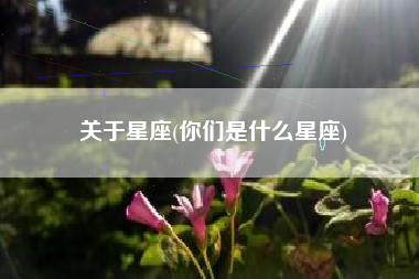 关于星座(你们是什么星座)
