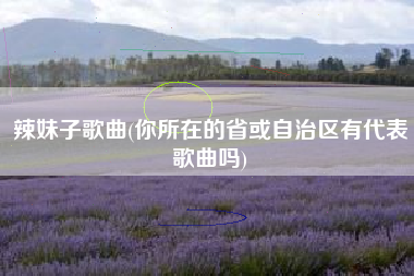 辣妹子歌曲(你所在的省或自治区有代表歌曲吗)