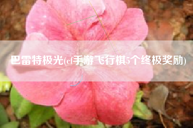 巴雷特极光(cf手游飞行棋5个终极奖励)