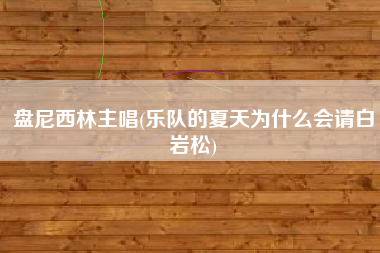 盘尼西林主唱(乐队的夏天为什么会请白岩松)