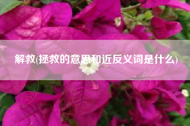 解救(拯救的意思和近反义词是什么)