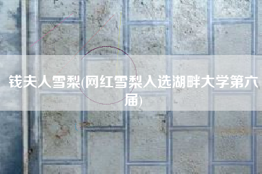 钱夫人雪梨(网红雪梨入选湖畔大学第六届)