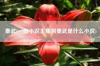 秦武(一部小说主角叫秦武是什么小说)