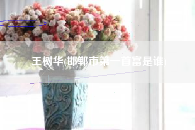王树华(邯郸市第一首富是谁)