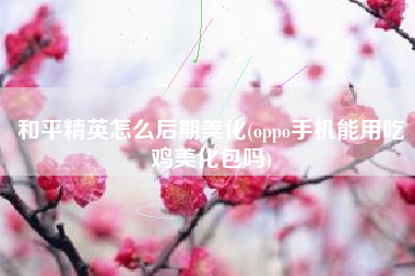 和平精英怎么后期美化(oppo手机能用吃鸡美化包吗)