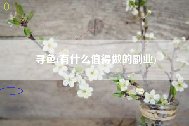 寻色(有什么值得做的副业)