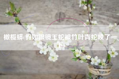 橄榄蟒(假如眼镜王蛇被竹叶青蛇咬了一下)