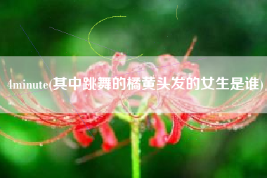4minute(其中跳舞的橘黄头发的女生是谁)