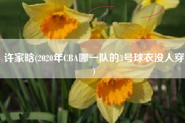 许家晗(2020年CBA哪一队的3号球衣没人穿)