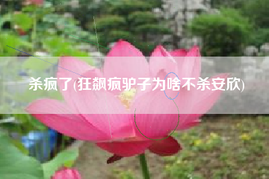 杀疯了(狂飙疯驴子为啥不杀安欣)