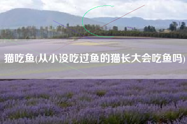 猫吃鱼(从小没吃过鱼的猫长大会吃鱼吗)