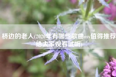 桥边的老人(2020年有哪些歌曲mv值得推荐给大家观看试听)