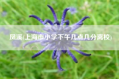 凤溪(上海市小学下午几点几分离校)