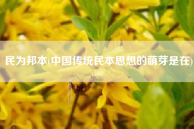 民为邦本(中国传统民本思想的萌芽是在)