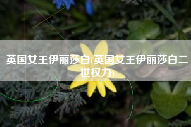英国女王伊丽莎白(英国女王伊丽莎白二世权力)