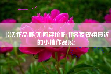 书法作品展(如何评价吼书名家曾翔最近的小楷作品展)