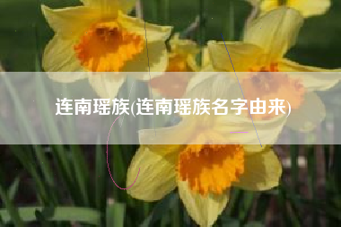 连南瑶族(连南瑶族名字由来)