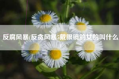 反腐风暴(反贪风暴5戴眼镜的女的叫什么)