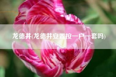 龙德井(龙德井安置按一户一套吗)