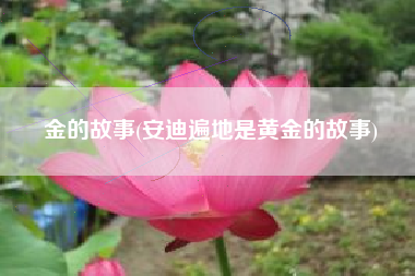 金的故事(安迪遍地是黄金的故事)