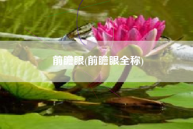 前瞻眼(前瞻眼全称)