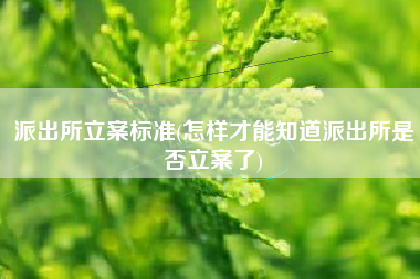 派出所立案标准(怎样才能知道派出所是否立案了)